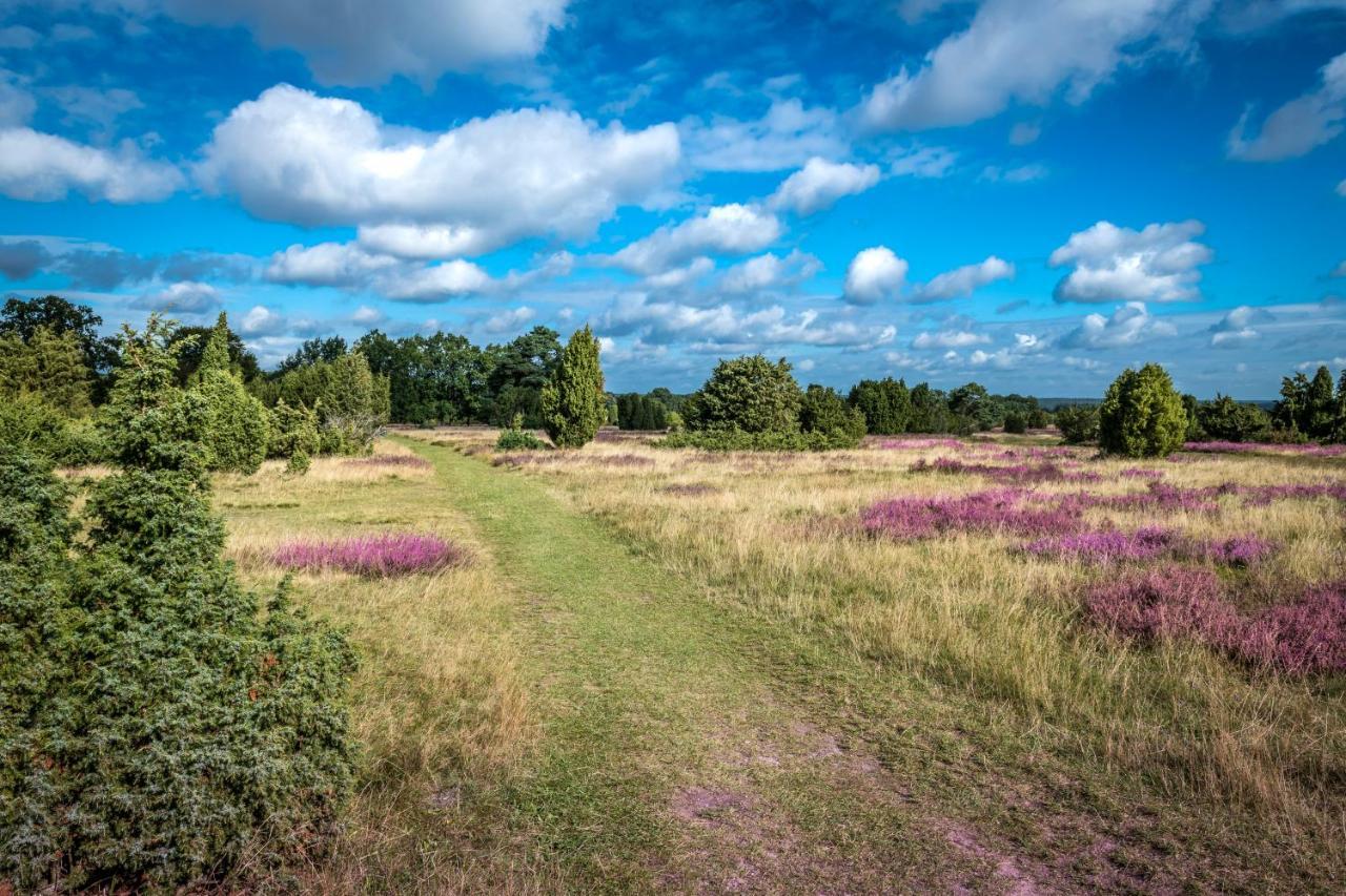 Ferienwohnung Heide View Bispingen Extérieur photo