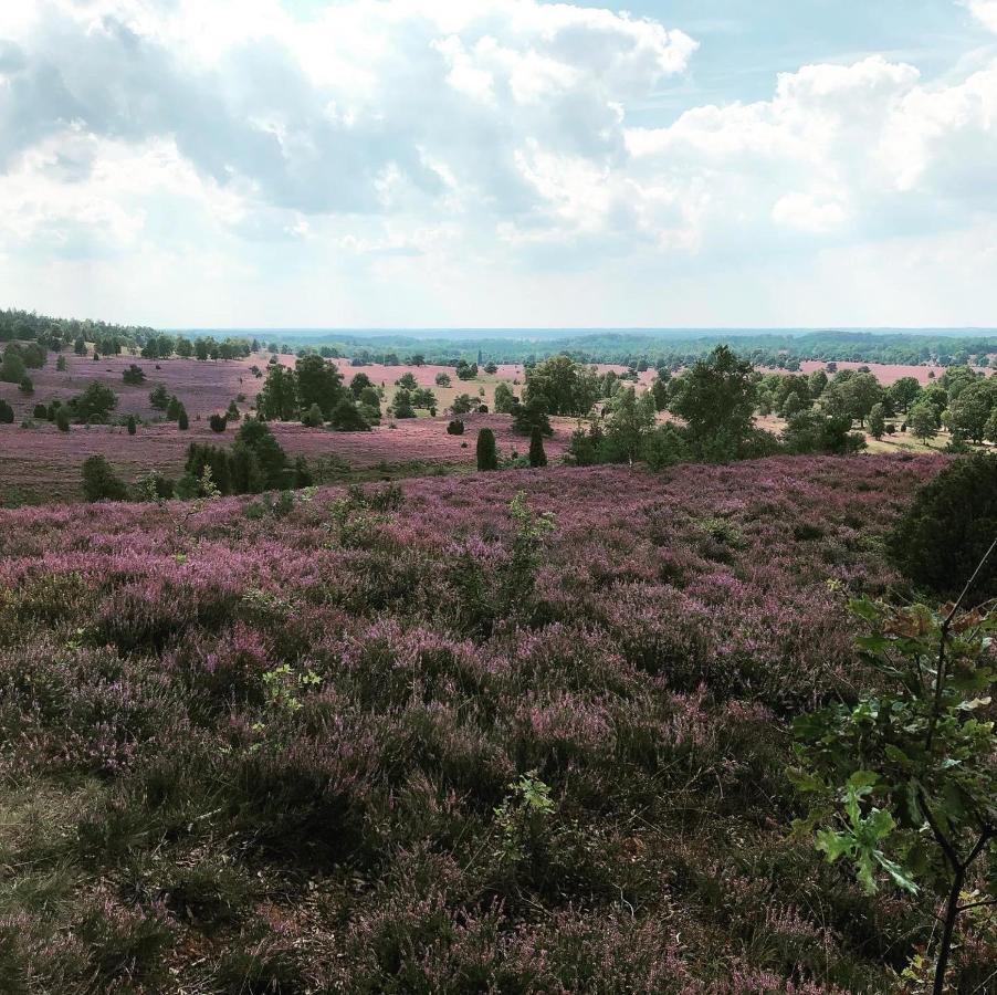 Ferienwohnung Heide View Bispingen Extérieur photo