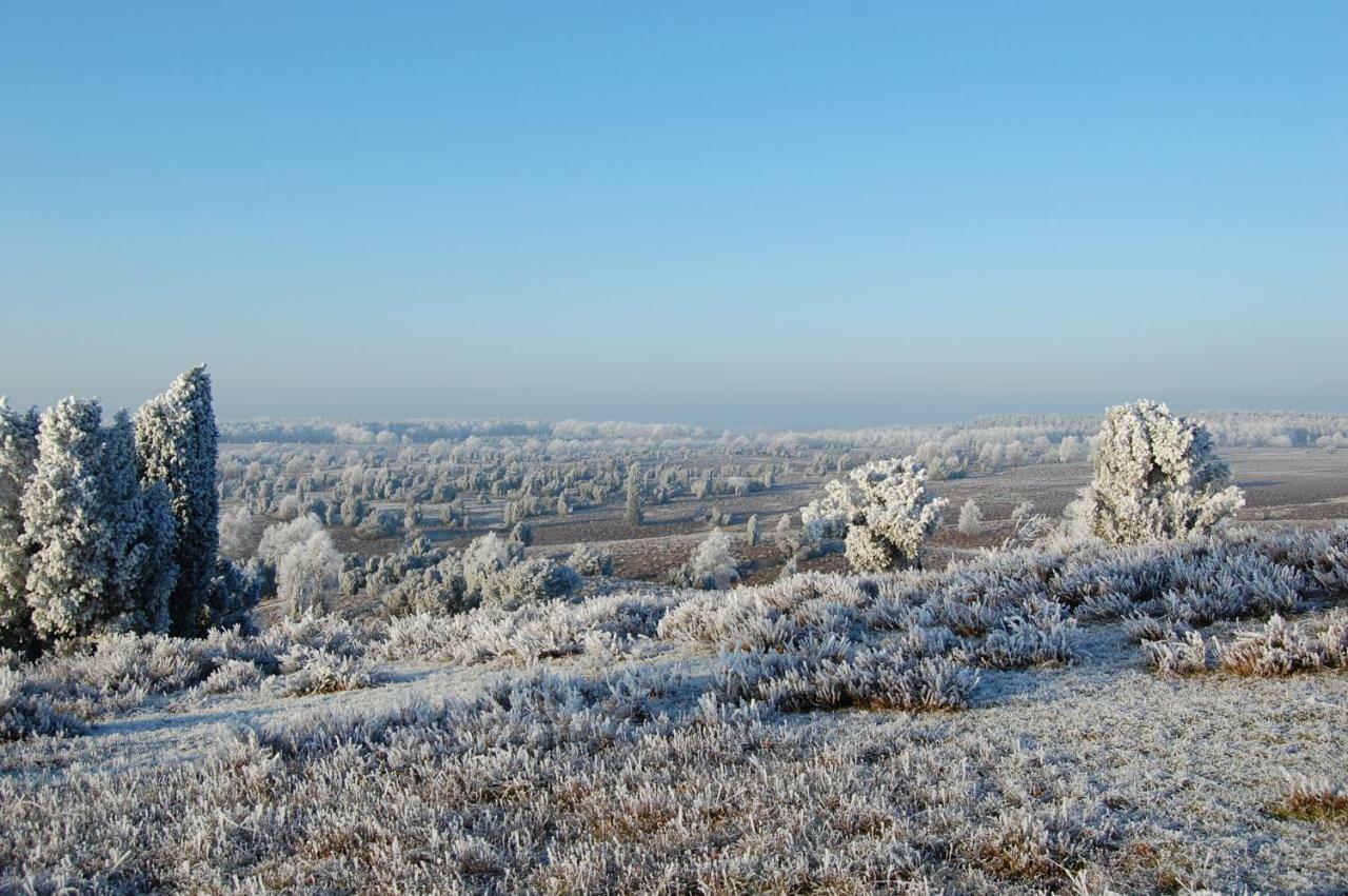 Ferienwohnung Heide View Bispingen Extérieur photo