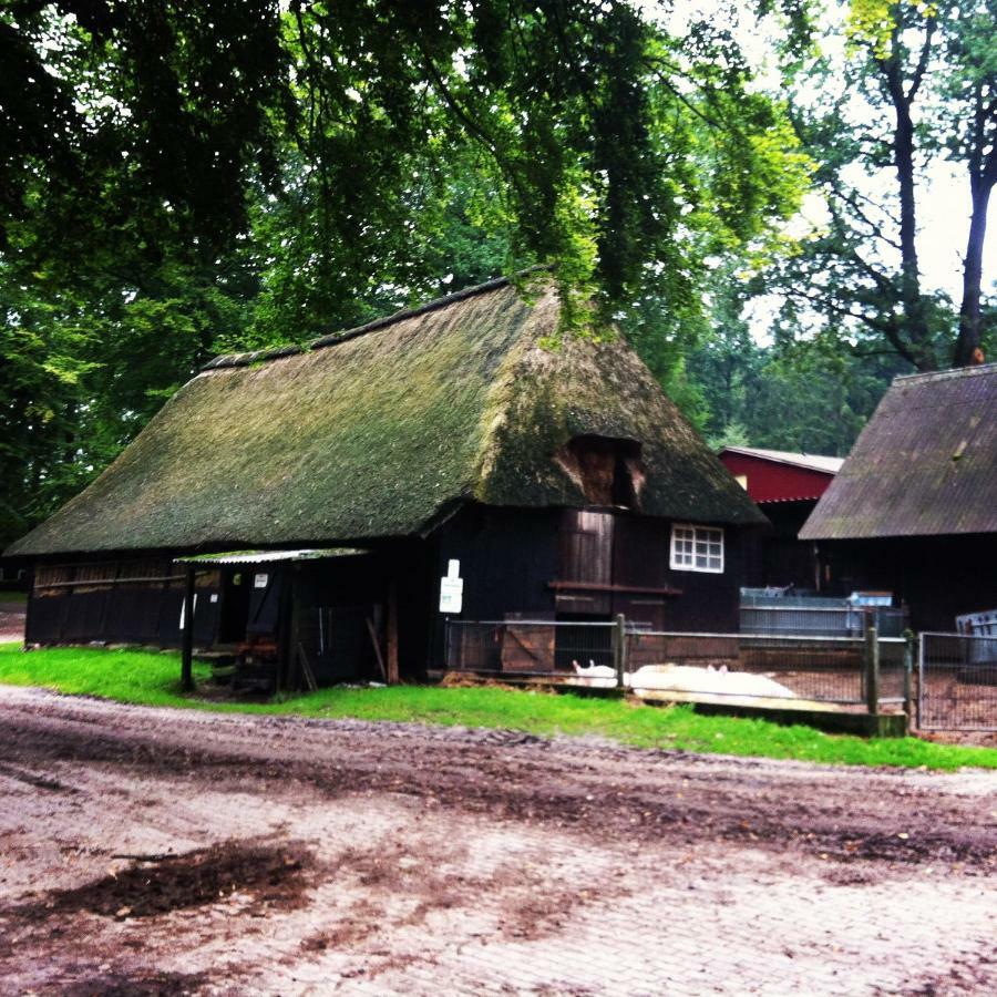 Ferienwohnung Heide View Bispingen Extérieur photo